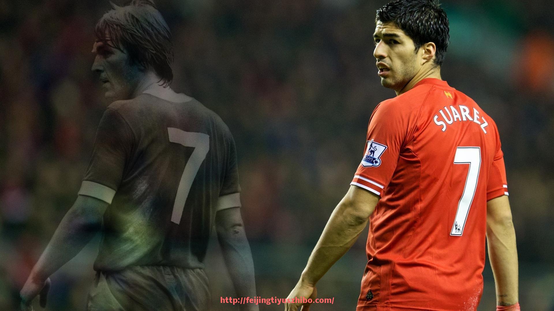 飞鲸体育直播-世俱杯球衣批发渠道分布与行业集中度分析