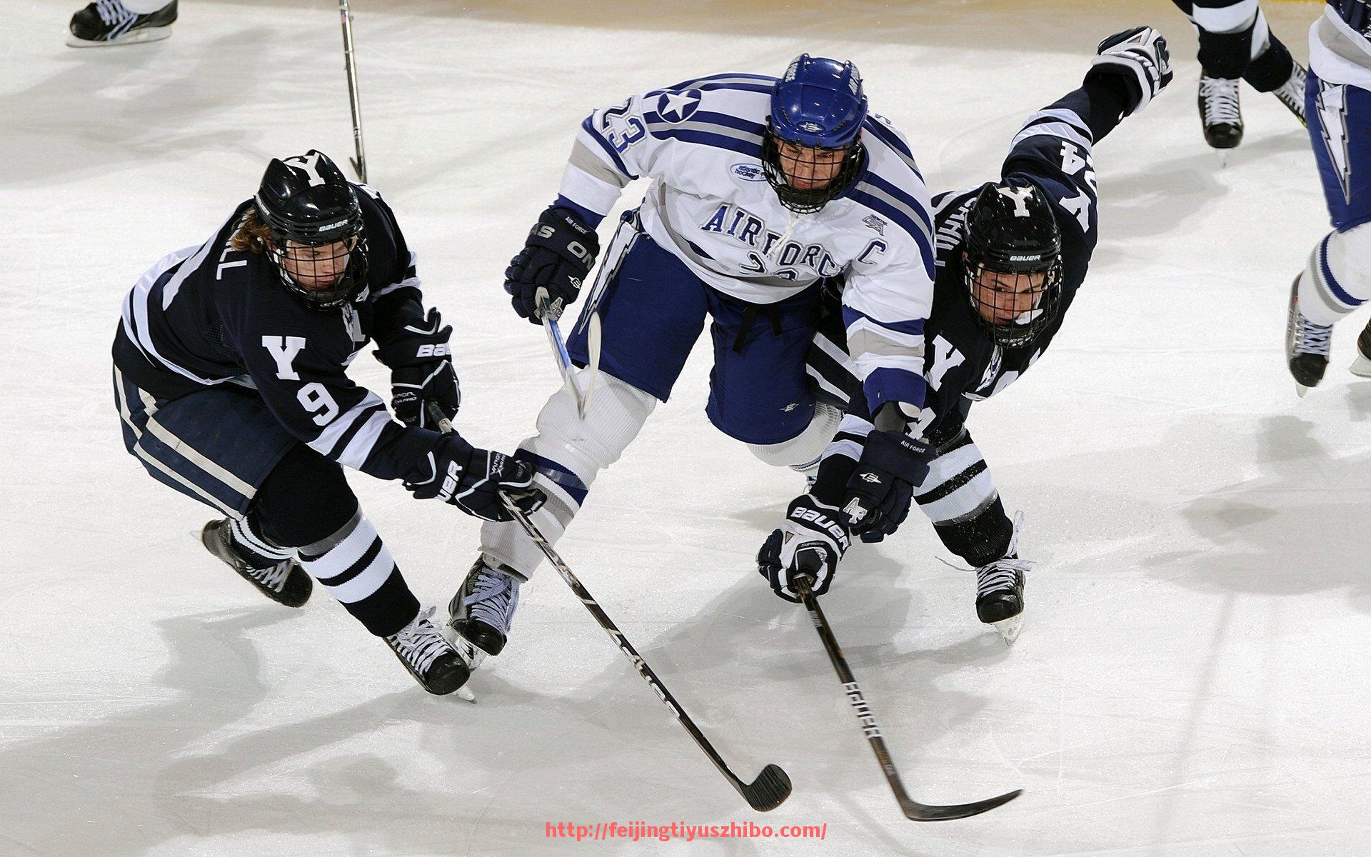 飞鲸体育直播-世俱杯赞助资金分配管理措施的细化与执行